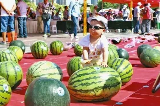 在线吃瓜大赛,全民狂欢，瓜界风云再起